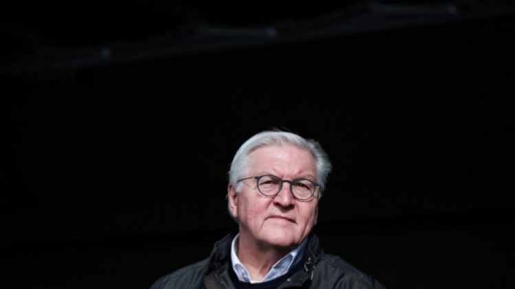 Le président allemand ne félicitera pas Vladimir Poutine pour sa réélection