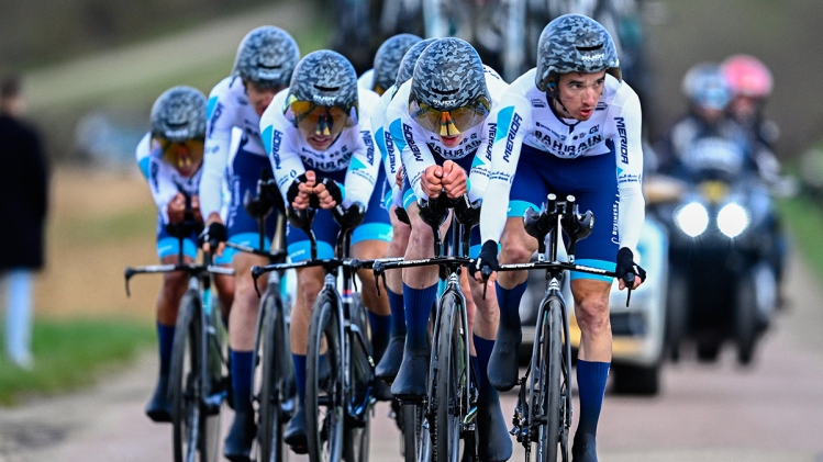 belgaimage-88288819_copie