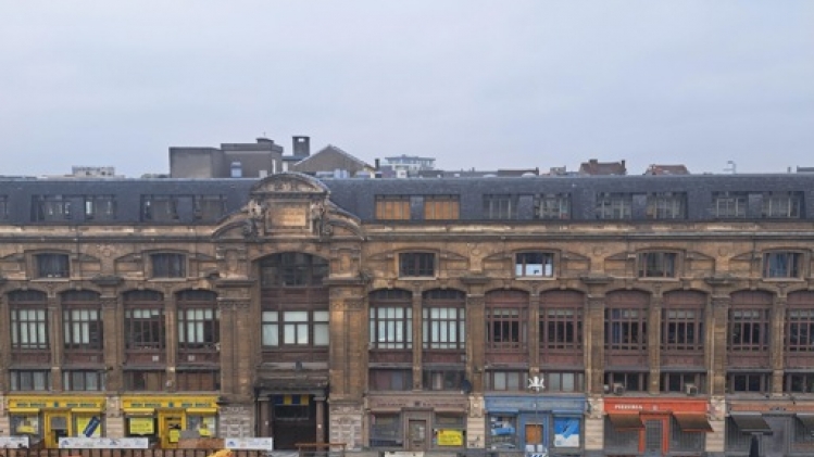 Trois balades et une soirée pour fêter les 50 ans d'Inter-Environnement Bruxelles