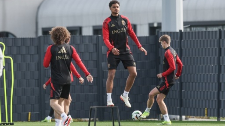 De Winter, Deman, Vermeeren et Vranckx titulaires contre l'Irlande, Tielemans capitaine