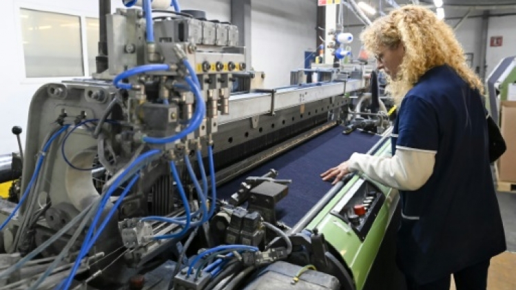 Du coton et un peu de patience: le jean qui pousse en France