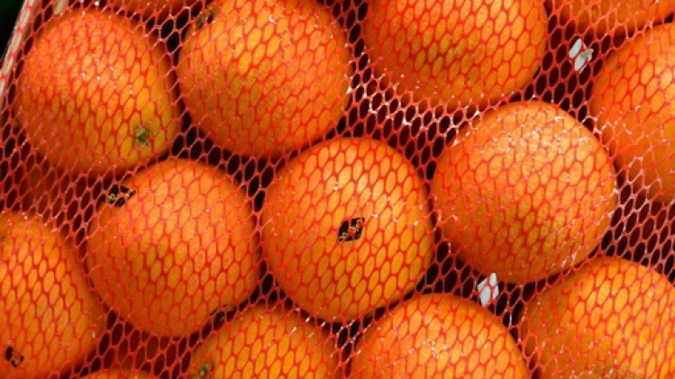 Lidl et la société Exsa rappellent des oranges pour cause de pesticide