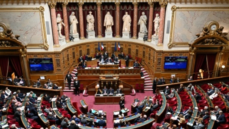 Nouvelle-Calédonie: une réforme constitutionnelle adoptée au Sénat sur fond de tensions locales