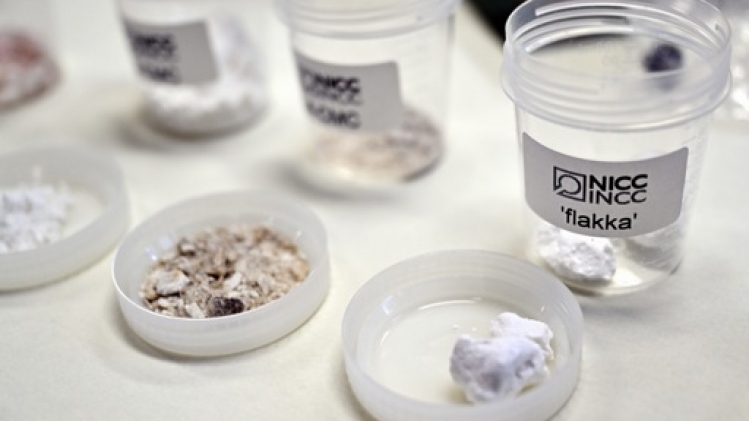 Le parquet de Flandre orientale met en garde contre une nouvelle drogue, la Monkey Dust