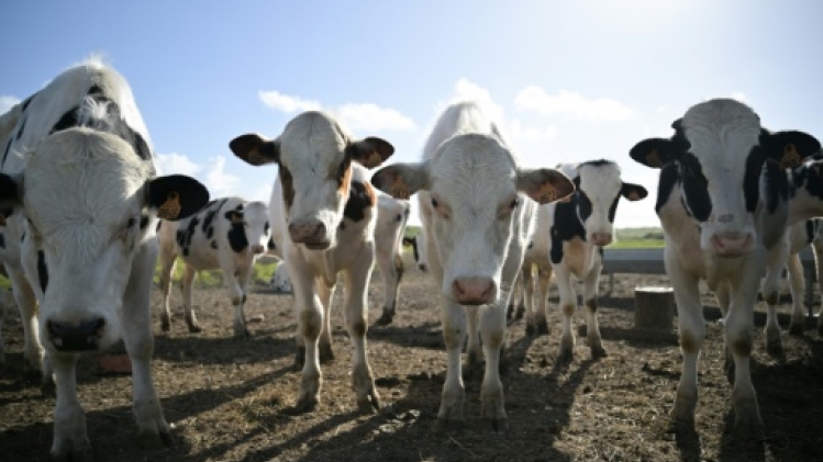 Agriculture: l'Assemblée s'empare du projet de loi pour répondre à la colère