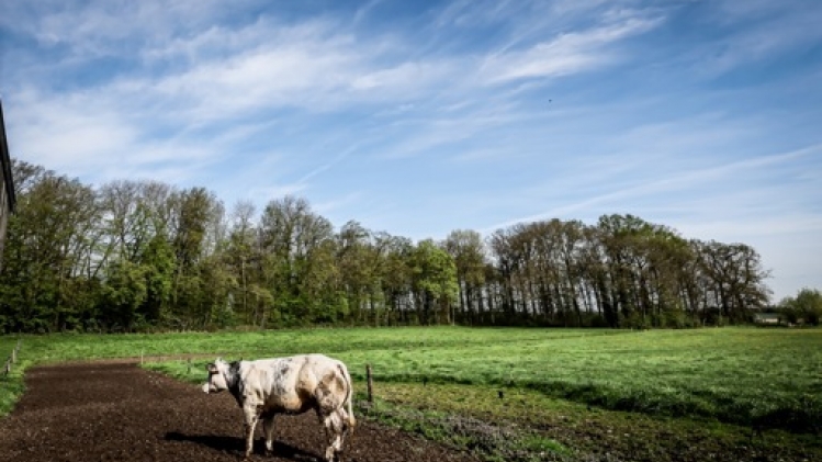 Le secteur agricole craint l'inscription du bien-être animal dans la Constitution
