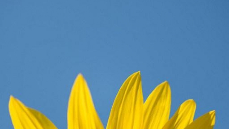 Le temps est bon, le ciel est bleu