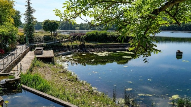 Vingt-six sites de baignade en plein air ouverts cet été en Wallonie