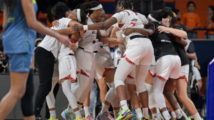 Villeneuve d'Ascq, avec ses Belgian Cats et le sélectionneur Meziane, champion de France