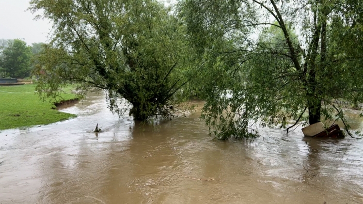 microsoftteams-image_2