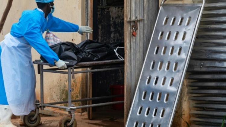 Ebola: portrait d'un virus tueur