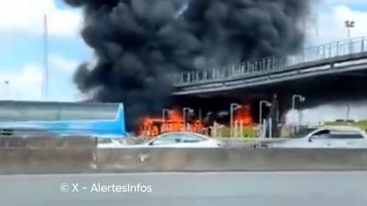 affrontements-psg-ol