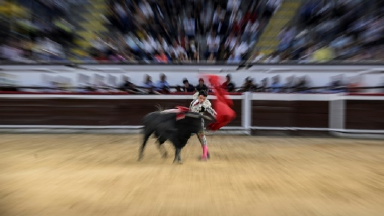 Tauromachie: la Colombie rejoint les pays abolitionnistes