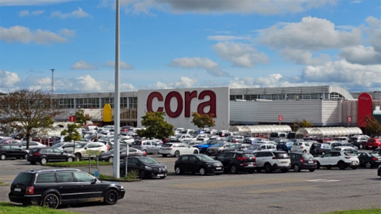 cora