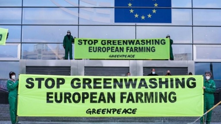 Les ressources manquent pour sanctionner le greenwashing en Europe, selon un rapport