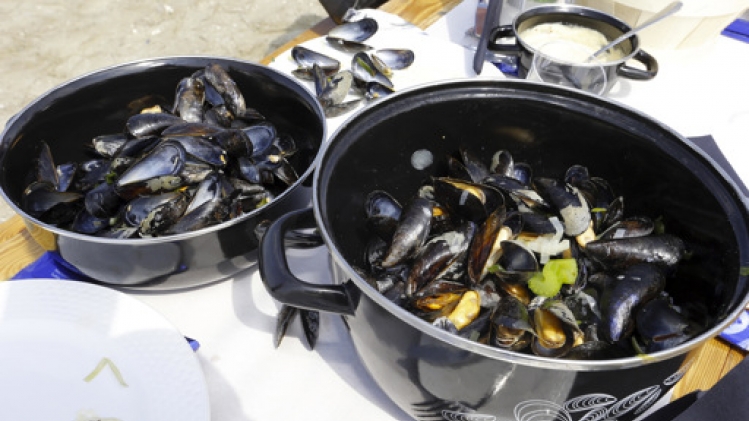 Les fortes précipitations font du tort aux récoltes de moules de Zélande