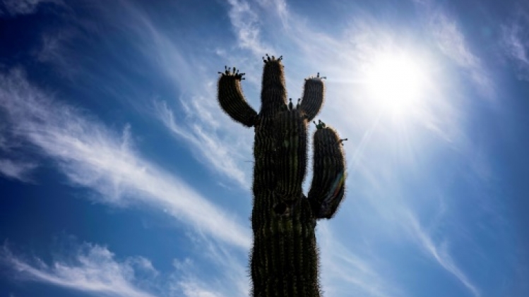 Une vague de chaleur précoce bat des records dans l'ouest des Etats-Unis