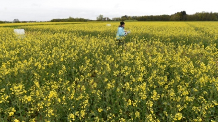 Les émissions de protoxyde d'azote mettent en péril les objectifs climatiques, selon une étude