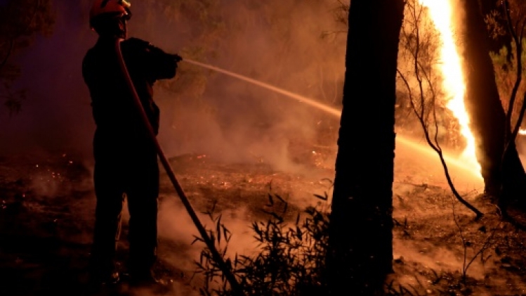 Incendie dans le Var: le feu, fixé, serait d'origine accidentelle