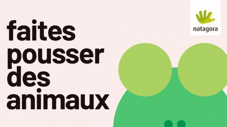 Natagora distribue des graines pour faire pousser des animaux
