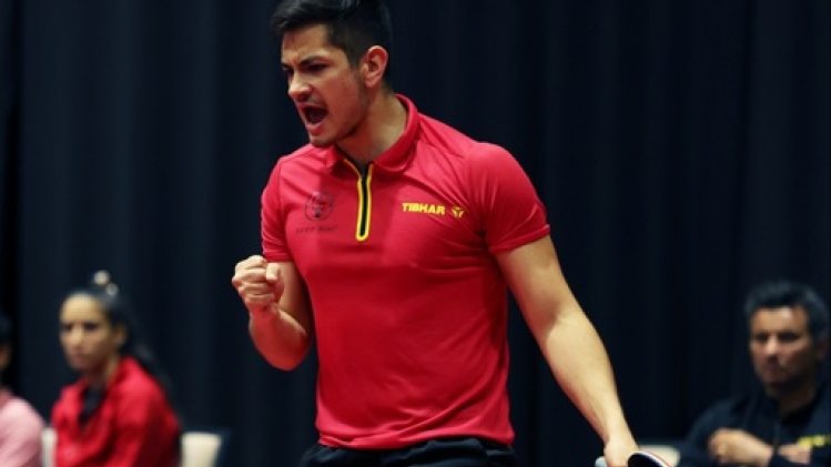 Martin Allegro et Cédric Nuytinck qualifiés pour les Jeux de Paris en tennis de table