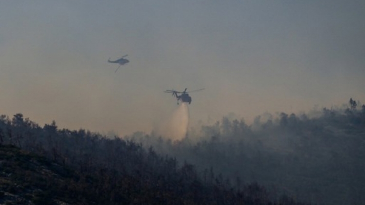 Le feu de forêt qui s'était déclaré près d'Athènes est désormais éteint