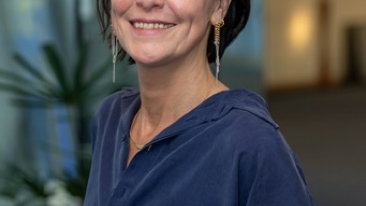 A Anvers, Vooruit rejette l'offre du PTB de constituer un front progressiste avec Groen