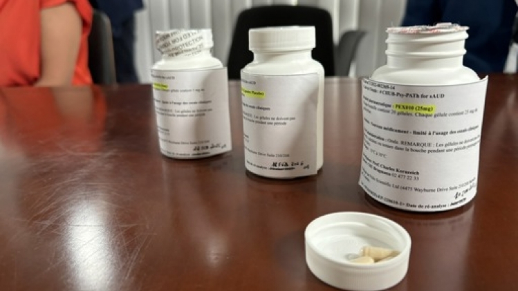 Une première étude clinique belge sur un traitement à base de champignons hallucinogènes