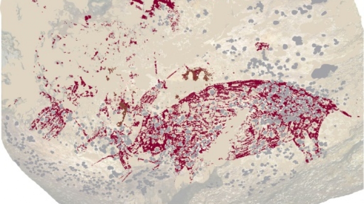 Au moins 50.000 ans: la plus ancienne peinture au monde découverte en Indonésie