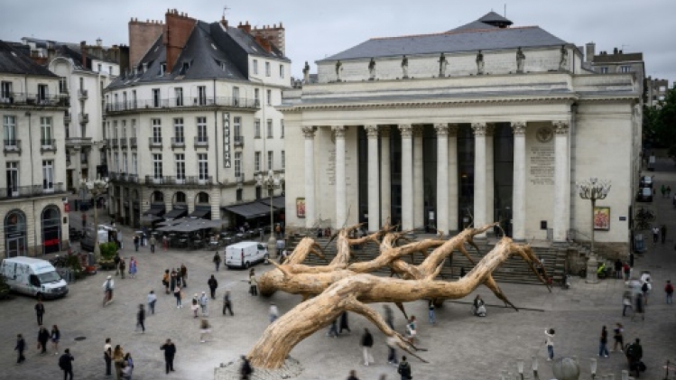 Pour le Voyage à Nantes, des arbres en majesté au coeur de la ville