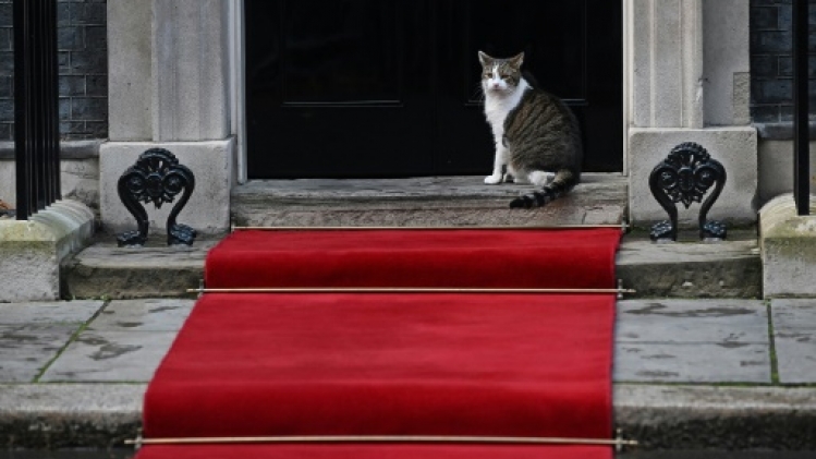 Pour Larry, le chat de Downing Street, une nouvelle cohabitation