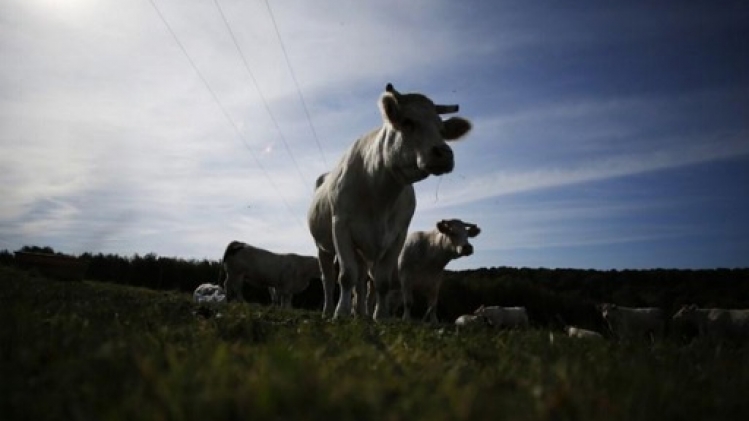 Un salon professionnel pour relancer l'agriculture biologique en Wallonie
