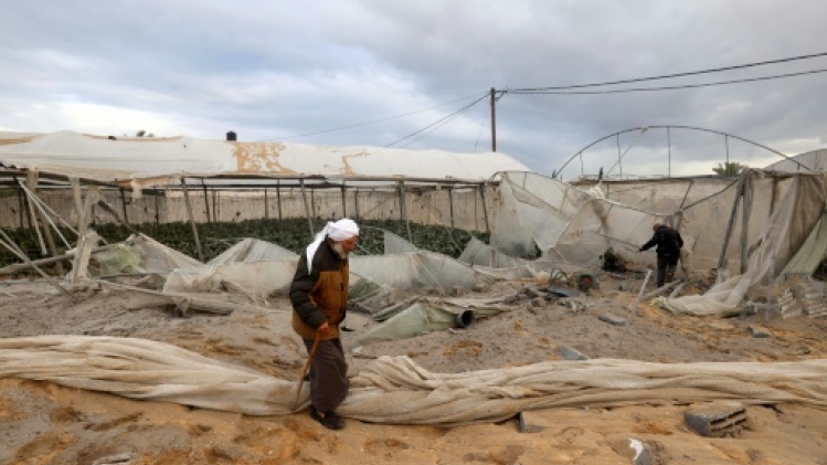 A Gaza, des terres fertiles ravagées par la guerre