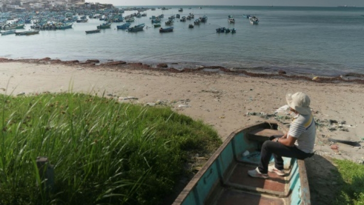 Si tu protestes, tu meurs: en Equateur, les pêcheurs sous la coupe des narcos