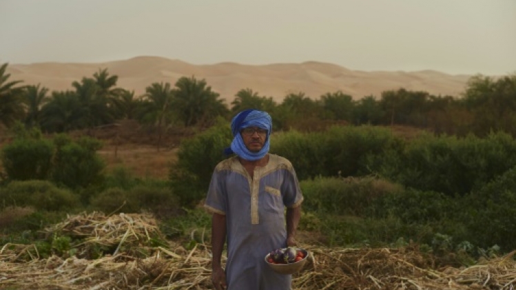 Entre dunes et montagne de Mauritanie, l'oasis de Maaden, utopie fraternelle