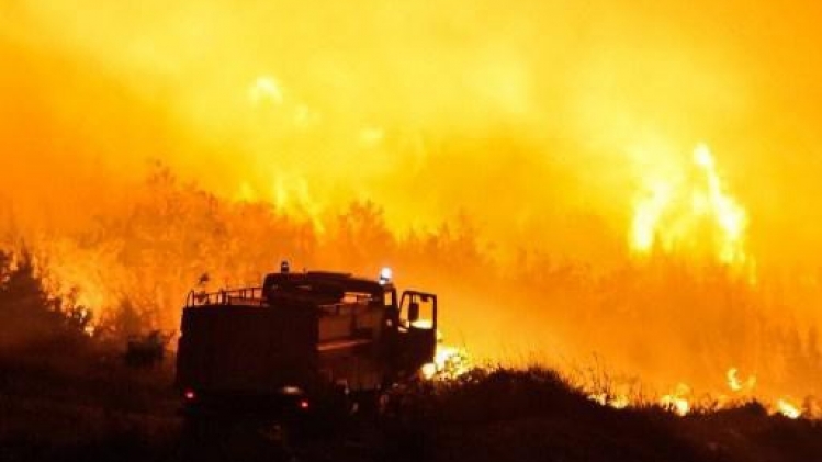 Croatie: incendie de forêt près d'une station balnéaire