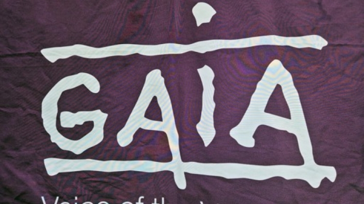 Gaia mène campagne contre le broyage et le gazage des poussins