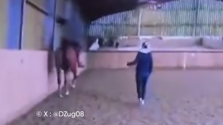 maquette_nouveau_look_v2_copie