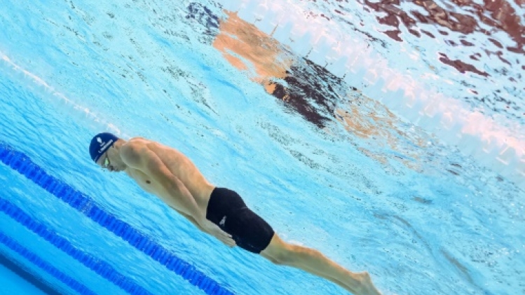 Natation: Marchand et Manaudou visent le quatre à la suite