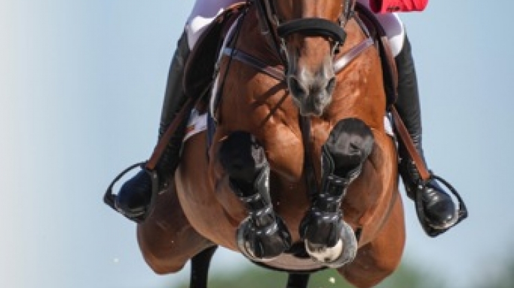 Grégory Wathelet, 15e en finale, méritait de sortir à 4 points