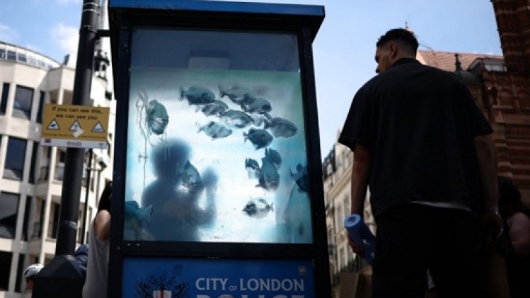 Des piranhas concluent une semaine d'œuvres animalières de Banksy à Londres