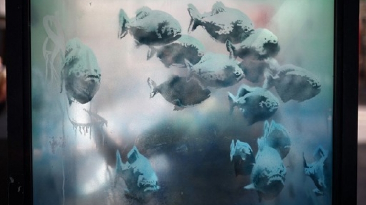 Des piranhas concluent une semaine d'œuvres animalières de Banksy à Londres