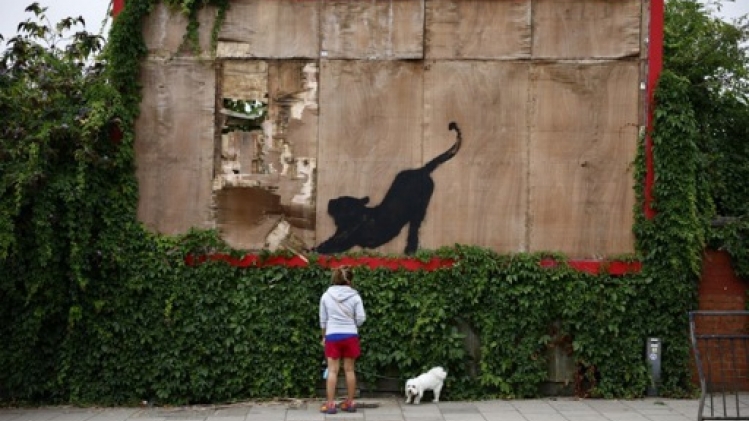 Des piranhas concluent une semaine d'œuvres animalières de Banksy à Londres