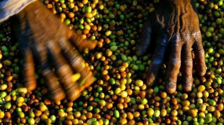 Le prix du café chute suite à la diminution du risque de gel au Brésil