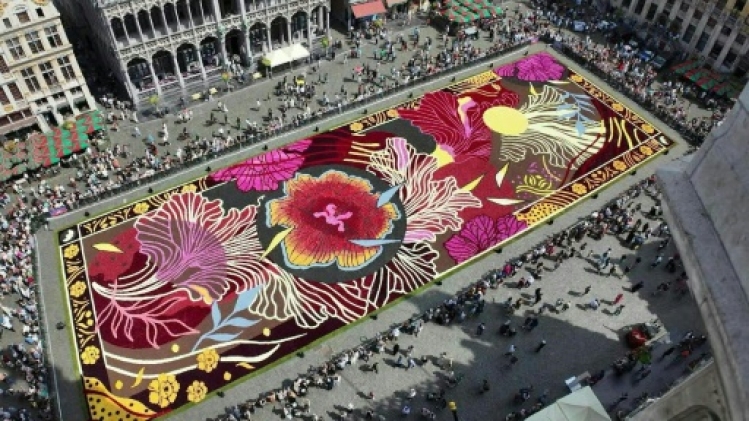 Street art et tapis de fleurs sur la Grand-Place de Bruxelles