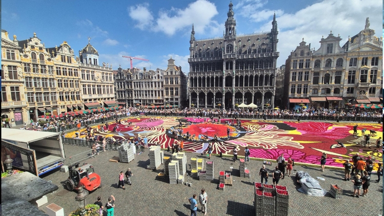 tapis-de-fleurs-bruxelles