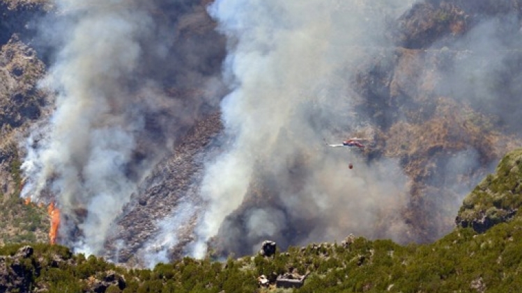 Le feu de forêt à Madère sous contrôle