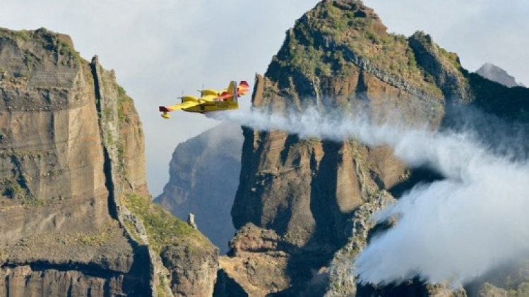 Le feu de forêt à Madère sous contrôle