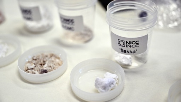 Près de 4 kilos des drogues flakka et Monkey Dust interceptés par la douane depuis janvier