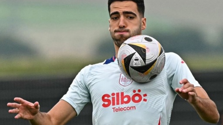 Mikel Merino